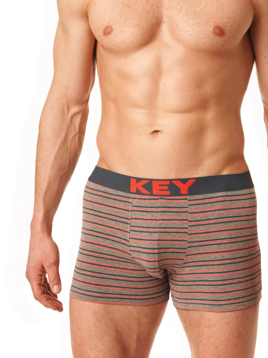 Труси шорти чоловічі key mxh 326 b22 L