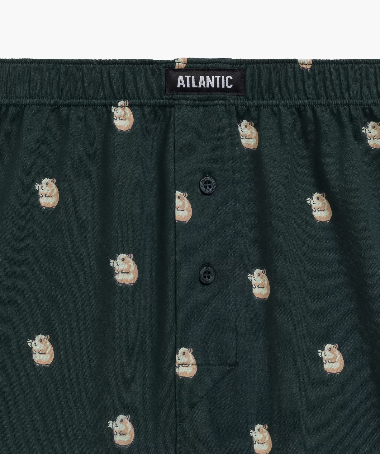 Чоловічі сімейні труси Atlantic 2mbh-003 jz24 XXL