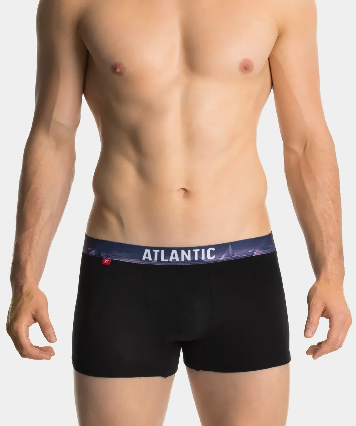 Труси шорти чоловічі боксери Atlantic 3MH-159 XXL