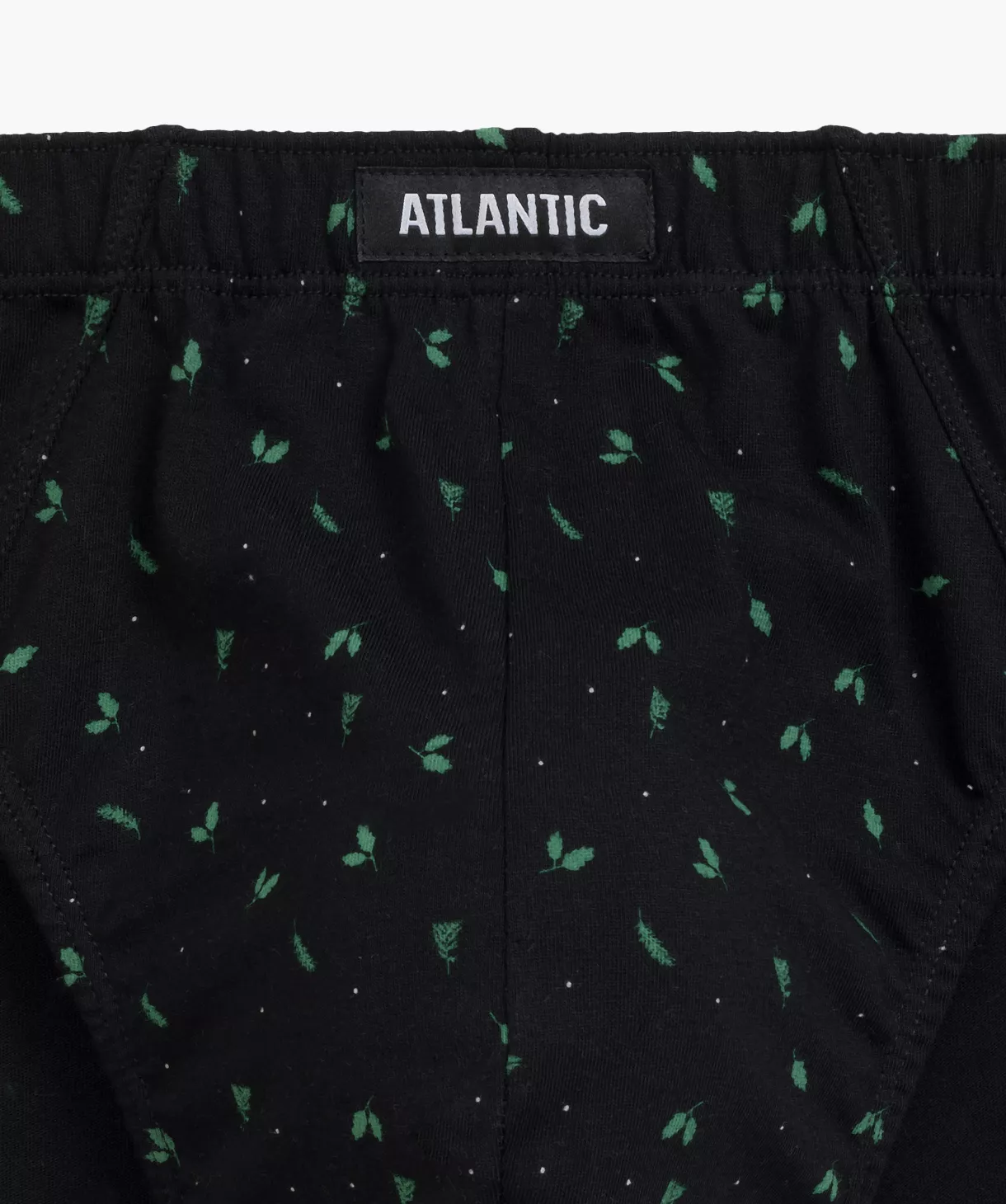 Чоловічі труси сліп Atlantic L