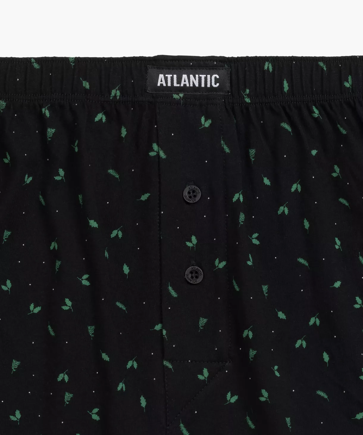 Чоловічі сімейні труси Atlantic L