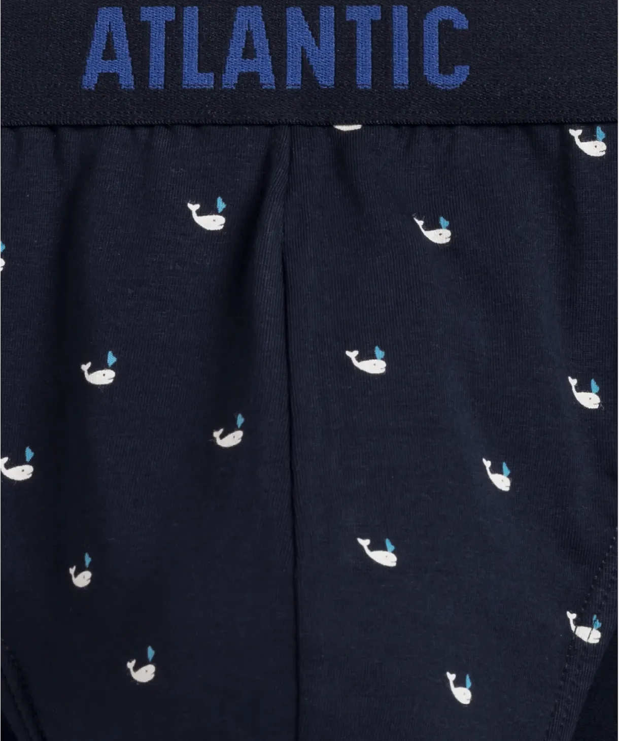 Чоловічі труси Atlantic 3MP-158 W24 L