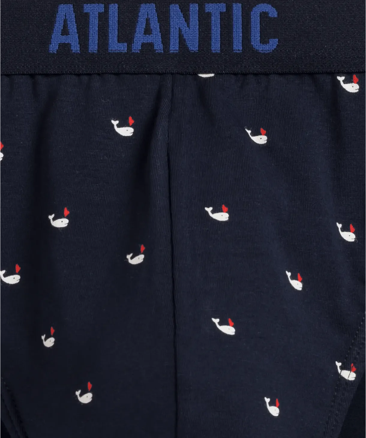 Чоловічі труси Atlantic 3MP-158 W24 XL
