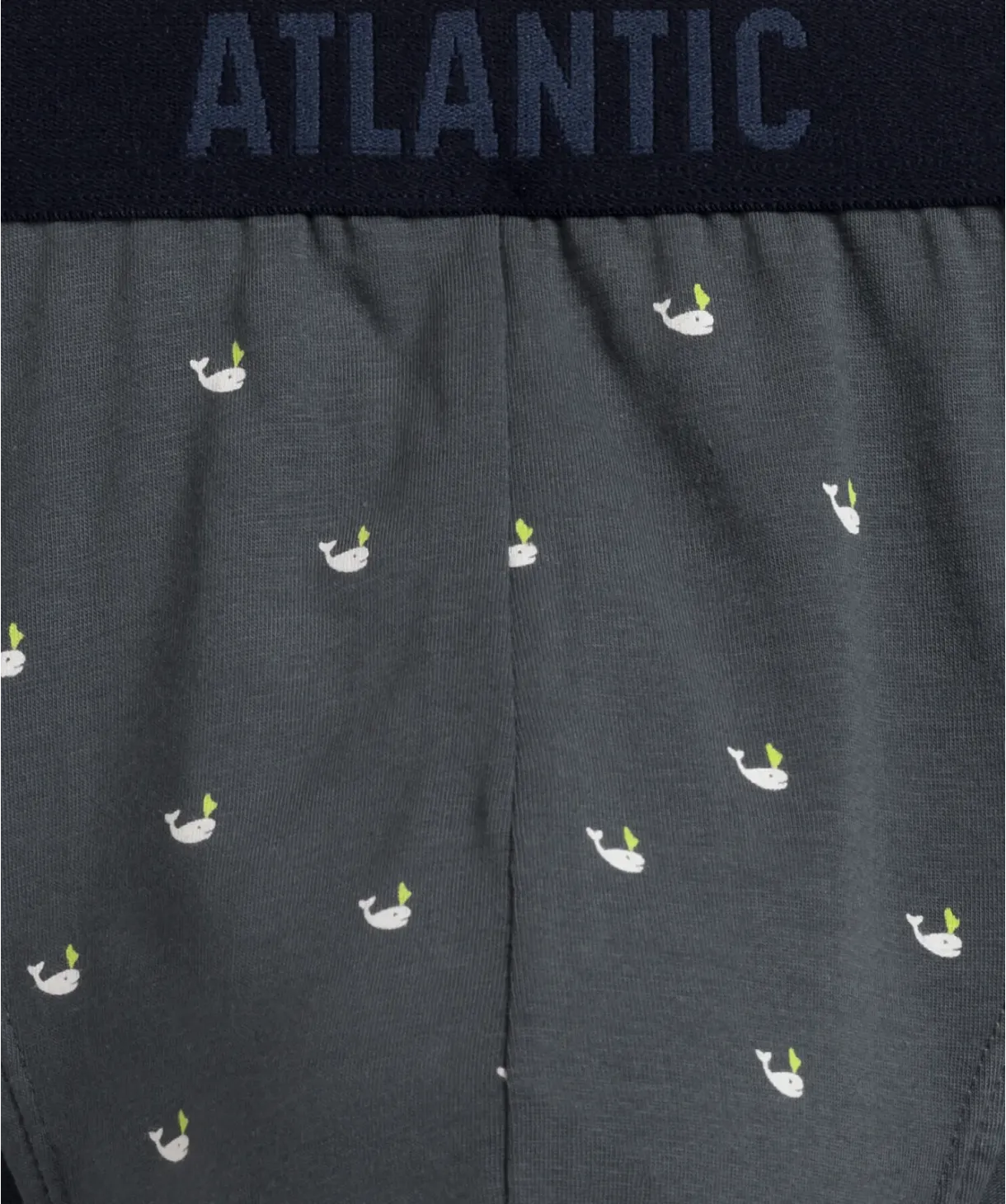 Чоловічі труси Atlantic 3MP-158 W24 XL