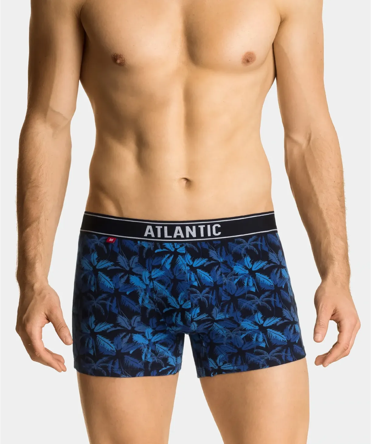 Труси шорти чоловічі боксери Atlantic 2GMH-010 XXL