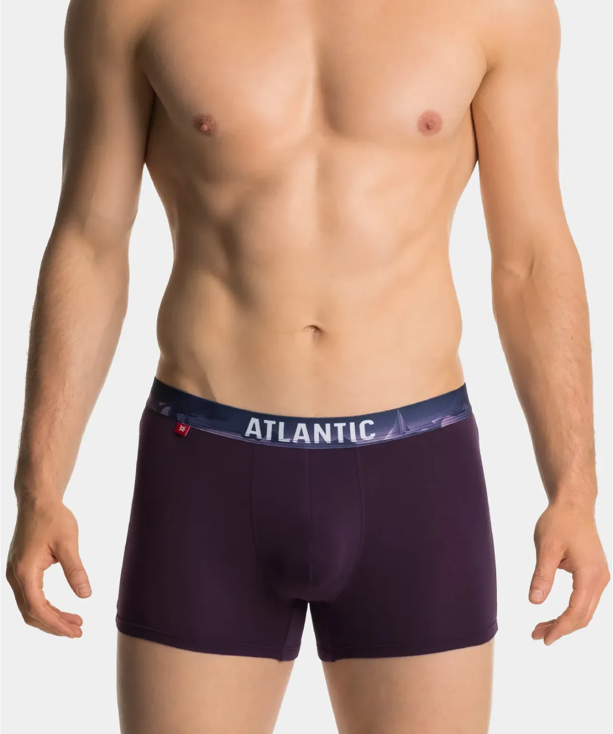 Труси шорти чоловічі боксери Atlantic 3MH-159 L