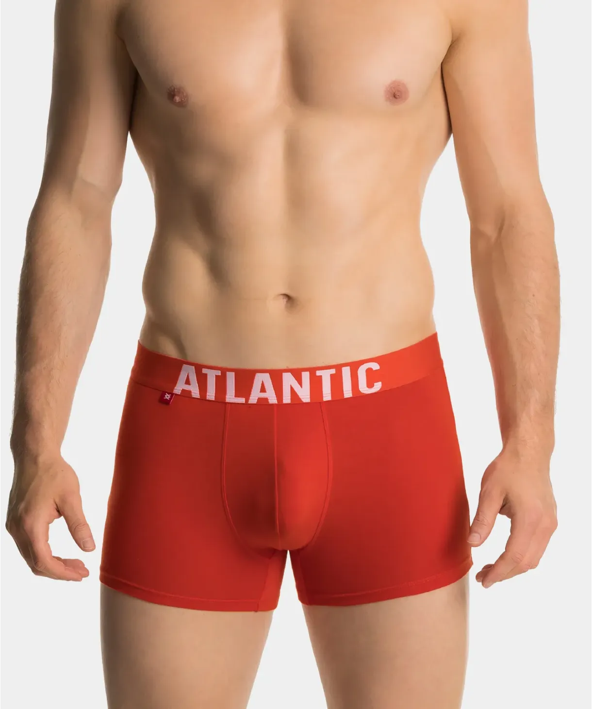 Труси шорти чоловічі боксери Atlantic 3SMH-003 W22 XXL